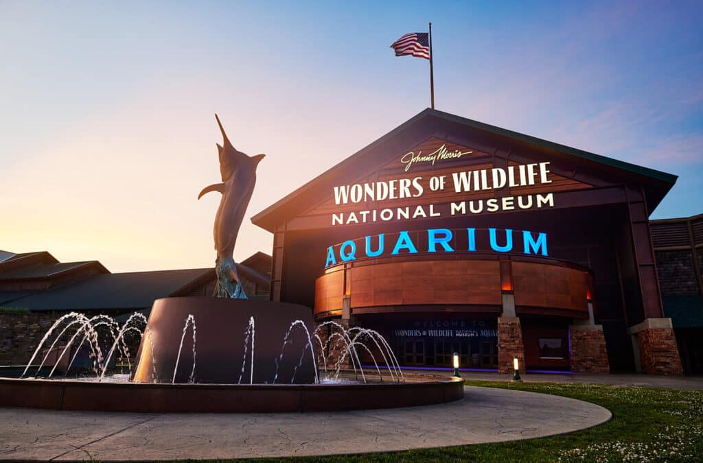 Wonders of Wildlife Museum & Aquarium στο Σπρίνγκφιλντ Μισσούρι